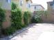 Private backyard featuring a paved area, rock landscaping, and mature greenery along the wall at 8139 Retriever Ave, Las Vegas, NV 89147