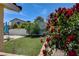 Beautiful backyard with a lush lawn, vibrant flowers, and a serene outdoor space at 8705 Orvieto Dr, Las Vegas, NV 89117