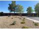 Well-maintained common area with gravel landscaping, bushes and small trees at 9138 Hermosa Valley St, Las Vegas, NV 89178
