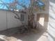 Fenced backyard with mature trees and landscaping potential at 1317 Exley Ave, Las Vegas, NV 89104