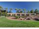 Landscaped green space area with trees and bushes offering a serene and well-maintained environment at 2078 Wildwood Lake St, Henderson, NV 89052