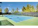 Well-maintained blue tennis court with green surroundings, perfect for an active lifestyle at 2078 Wildwood Lake St, Henderson, NV 89052