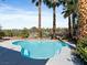 Inviting backyard pool surrounded by palm trees and desert landscaping at 2894 Matese Dr, Henderson, NV 89052
