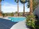 Relaxing backyard pool surrounded by desert vegetation and tall palm trees, set within a gated yard at 2894 Matese Dr, Henderson, NV 89052