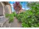 Serene backyard with gravel path, verdant foliage, and a built-in outdoor grill at 2901 Josephine Dr, Henderson, NV 89044