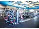 Fitness center with weight machines, exercise balls, and rows of treadmills at 2901 Josephine Dr, Henderson, NV 89044