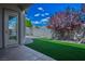 A serene backyard featuring artificial turf and a decorative red leaf tree at 3278 Turning Bridge St, Las Vegas, NV 89135