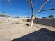 Spacious backyard with block wall fencing and a distinctive, mature tree at 4808 Everman Dr, Las Vegas, NV 89122
