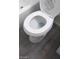 A white toilet with grey vinyl flooring at 4808 Everman Dr, Las Vegas, NV 89122