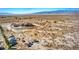 This aerial view showcases the home's desert setting, mature landscaping and circular driveway at 5700 E Carter Ln, Pahrump, NV 89061