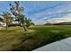 Neighborhood grassy lawn with mature trees, mountain views, and walking paths at 8977 Melridge Rd, Las Vegas, NV 89148