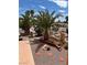 View of front yard area with mature palm trees, desert landscaping, rock garden, and sidewalk at 1853 Citroen St, Las Vegas, NV 89142