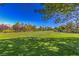 Expansive green space in the community, perfect for relaxation, recreation, and enjoying the outdoors at 4042 Keefe Falls Ct, North Las Vegas, NV 89085