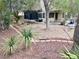 Landscaped backyard featuring a trampoline and desert landscaping, offering a perfect setting for outdoor enjoyment at 8928 Reining Spur Ave, Las Vegas, NV 89143