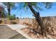 This backyard features a tree, a block wall, and a concrete patio with desert landscaping at 100 Woolman Rink Ave, Las Vegas, NV 89123