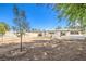 Large backyard with ample space for recreation and landscaping potential at 1116 E Owens Ave, North Las Vegas, NV 89030