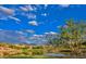 Beautiful view of a pond surrounded by a golf course and hills at 1353 Volturno Way, Henderson, NV 89052