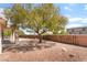 A large tree in the backyard next to a covered patio at 1781 Cypress Lake Ct, Henderson, NV 89012