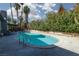 Backyard pool with lush landscaping and plenty of room for entertaining at 4509 Paseo Del Ray Dr, Las Vegas, NV 89121