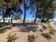 Scenic view of the community pool, framed by mature trees and colorful landscaping, creating a serene atmosphere at 656 Thornewood Pl, Las Vegas, NV 89123
