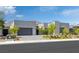Modern, single-story home showcases its sleek exterior, gray tones, a gray garage door, and desert landscaping at 787 Willits St, Las Vegas, NV 89138