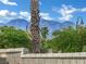 Scenic mountain view framed by desert landscaping, trees, and a decorative stone wall at 8134 Maddingley Ave, Las Vegas, NV 89117