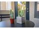 Close-up of cacti on a table in a sunlit balcony area at 10245 S Maryland Pkwy # 106, Las Vegas, NV 89183