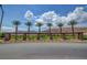 Landscaped street with palm trees set on stone pillars creating an inviting community entrance at 10693 Harvest Green Way, Las Vegas, NV 89135
