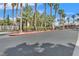 A community street view of Tuscan Villas featuring mature trees, landscaping, and well-maintained buildings at 5055 W Hacienda Ave # 1136, Las Vegas, NV 89118