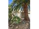 Charming single-story home with desert landscaping and mature palm trees in the front yard at 5305 Bright Sun Ct, Las Vegas, NV 89130