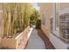 Landscaped walkway featuring natural bamboo and stone accents, leading to a serene outdoor area at 712 Proud Eagle Ln, Las Vegas, NV 89144