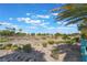 Picturesque community view showcases desert landscaping with scattered greenery and distant buildings under a clear blue sky at 1291 Rolling Sunset St, Henderson, NV 89052