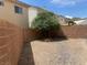Enclosed back yard with neutral-colored walls and a central mature tree at 137 Coronation Ave, Las Vegas, NV 89123