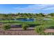 Scenic pond with a fountain surrounded by manicured greens and mature landscaping with mountain views at 2103 Poppywood Ave, Henderson, NV 89012