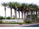 Welcoming entrance to Sun City Anthem, framed by lush palm trees and landscaping at 2138 Fort Halifax St, Henderson, NV 89052