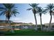 Scenic view of waterfront property with palm trees, lush greenery, and a glimpse of a boat at 244 Paraggi Bay Dr, Henderson, NV 89011