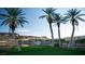 Scenic view of the property showing palm trees and lush landscape near the lakefront at 244 Paraggi Bay Dr, Henderson, NV 89011