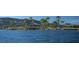 Scenic lake view with palm trees and lush landscaping along the waterfront at 244 Paraggi Bay Dr, Henderson, NV 89011
