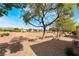 Scenic backyard view featuring desert landscaping, mature trees, and the community lawn with mountain views at 2505 Showcase Dr, Las Vegas, NV 89134