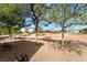 Landscaped backyard featuring desert landscaping, mature trees, views of community lawn, and mountain backdrops at 2505 Showcase Dr, Las Vegas, NV 89134