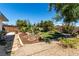 Green and relaxing back yard with mature trees and plenty of shade at 2600 E Owens Ave, North Las Vegas, NV 89030