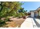 Spacious back yard featuring mature shade trees, plants, and a large patio at 2600 E Owens Ave, North Las Vegas, NV 89030