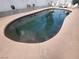 Backyard pool shows reflection of palm trees with patio and tile coping at 3164 Elmrock Pl, Las Vegas, NV 89121