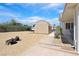 Spacious backyard featuring storage shed, fire pit, and potential for customization at 3165 S Monte Cristo Way, Las Vegas, NV 89117