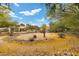 Spacious backyard featuring desert landscaping with mature trees and cacti, offering a serene outdoor space at 4185 W Arby Ave, Las Vegas, NV 89118