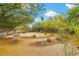 Expansive desert landscaped backyard with mature trees, rocks, and cacti, creating a peaceful outdoor retreat at 4185 W Arby Ave, Las Vegas, NV 89118
