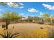 Large backyard with desert landscaping, mature trees, and a covered patio, perfect for entertaining at 4185 W Arby Ave, Las Vegas, NV 89118
