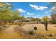 Large backyard with mature trees, cacti, gravel landscaping, and covered patio in a desert environment at 4185 W Arby Ave, Las Vegas, NV 89118