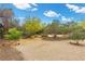 Low-maintenance backyard with gravel landscaping, mature trees, landscape lighting and plenty of space at 4185 W Arby Ave, Las Vegas, NV 89118