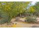 Desert landscaped backyard with trees in bloom, gravel, pathway lighting, cacti and native plants at 4185 W Arby Ave, Las Vegas, NV 89118